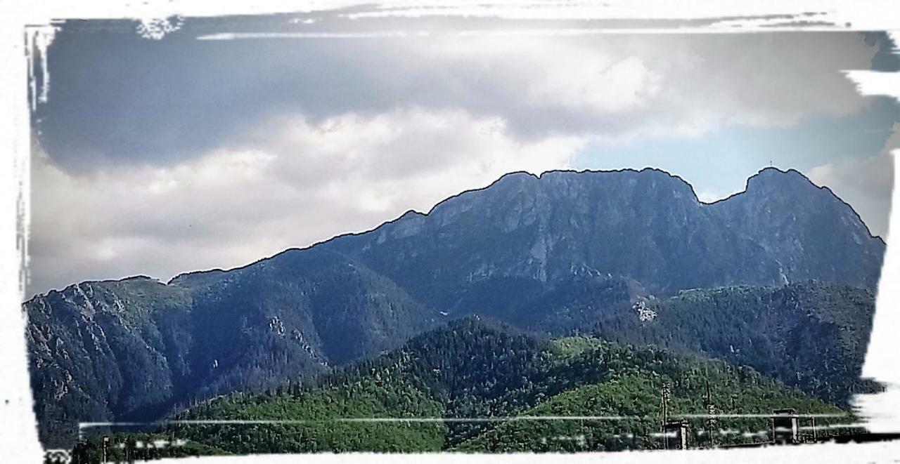 Pokoje W Centrum "Cicha" Zakopane Exteriör bild
